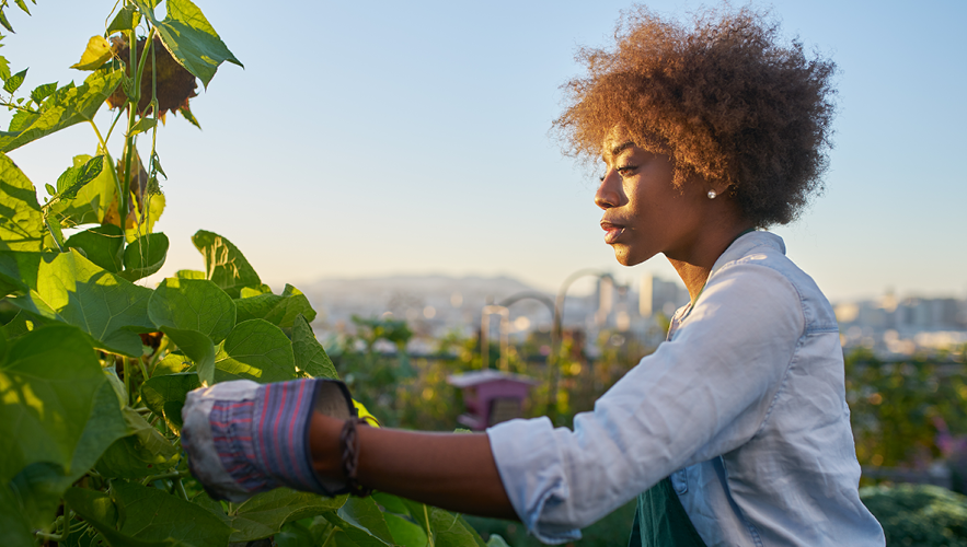 ISSNL - Trends in FM - Duurzaamheid in FM 2 - 424x240 062024