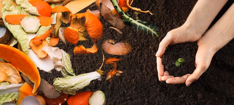 webimage-NL_From-waste-to-value-impact-of-circular-food-services_09-2025